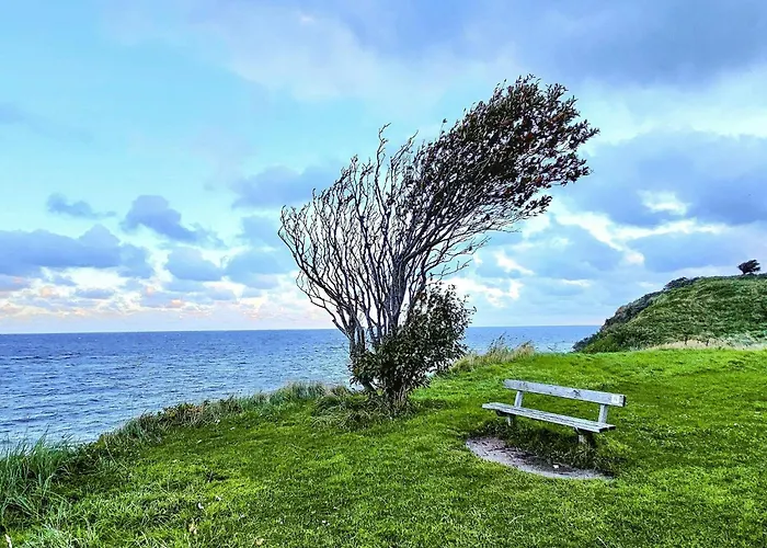 8 Person In 度假居